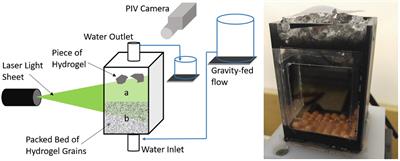 Particle Seeded Grains to Identify Highly Irregular Solid Boundaries and Simplify PIV Measurements